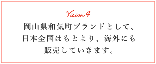 vision4